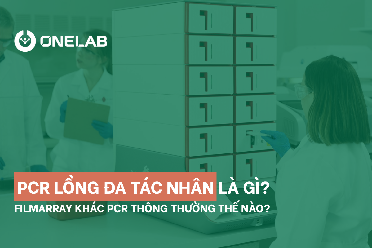PCR lồng đa tác nhân