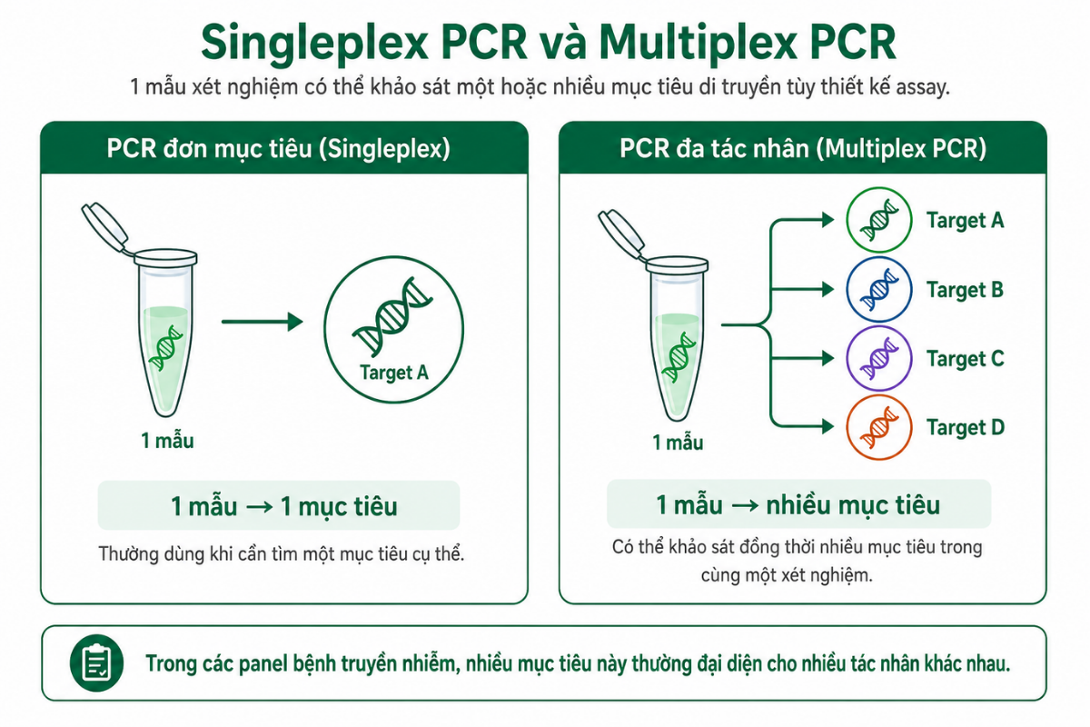 So sánh PCR đơn mục tiêu và multiplex PCR
