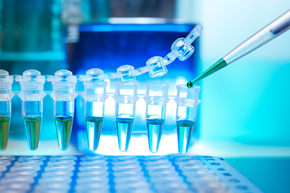 Xét nghiệm PCR